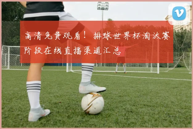 高清免费观看！排球世界杯淘汰赛阶段在线直播渠道汇总