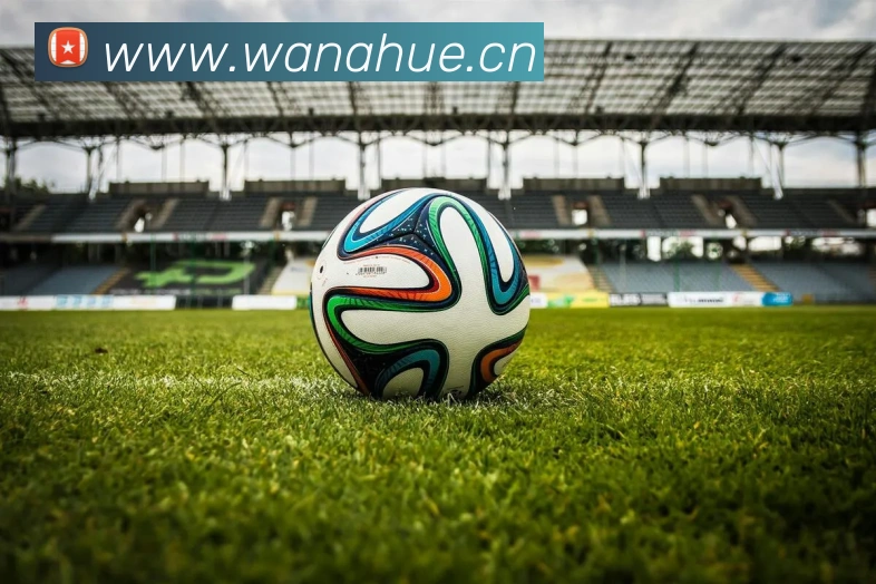 App Interface Preview