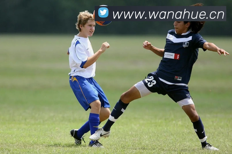 bat365备用登录入口APP 封面图